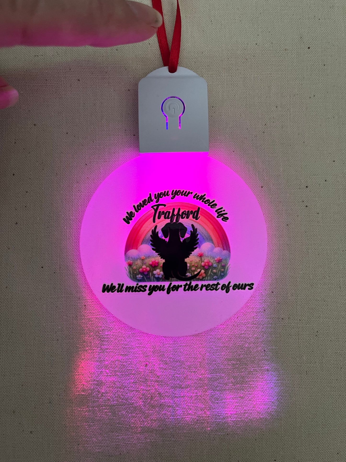 Pet loss Light up decoration