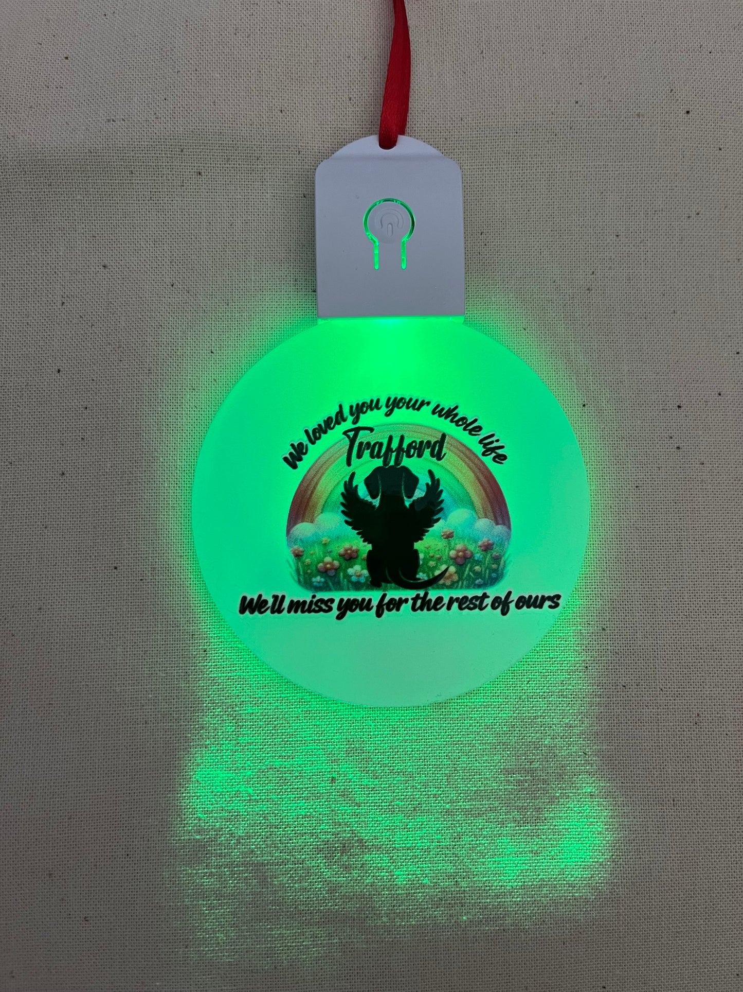 Pet loss Light up decoration