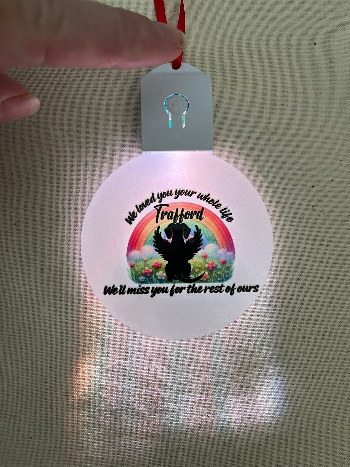 Pet loss Light up decoration