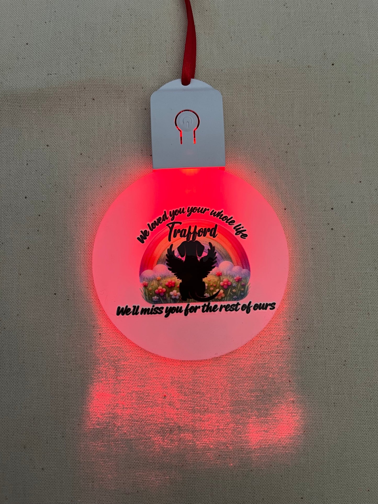 Pet loss Light up decoration