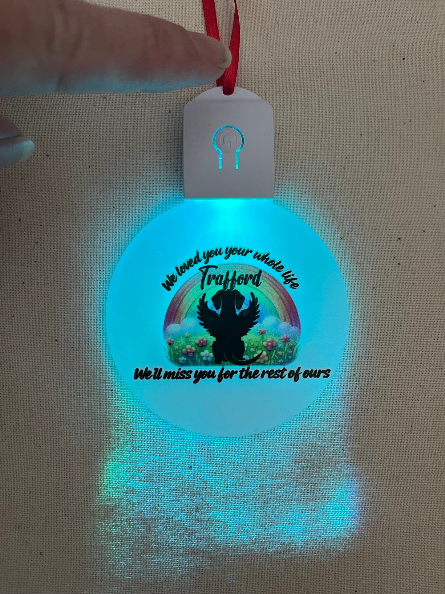 Pet loss Light up decoration