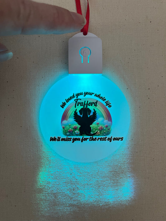 Pet loss Light up decoration