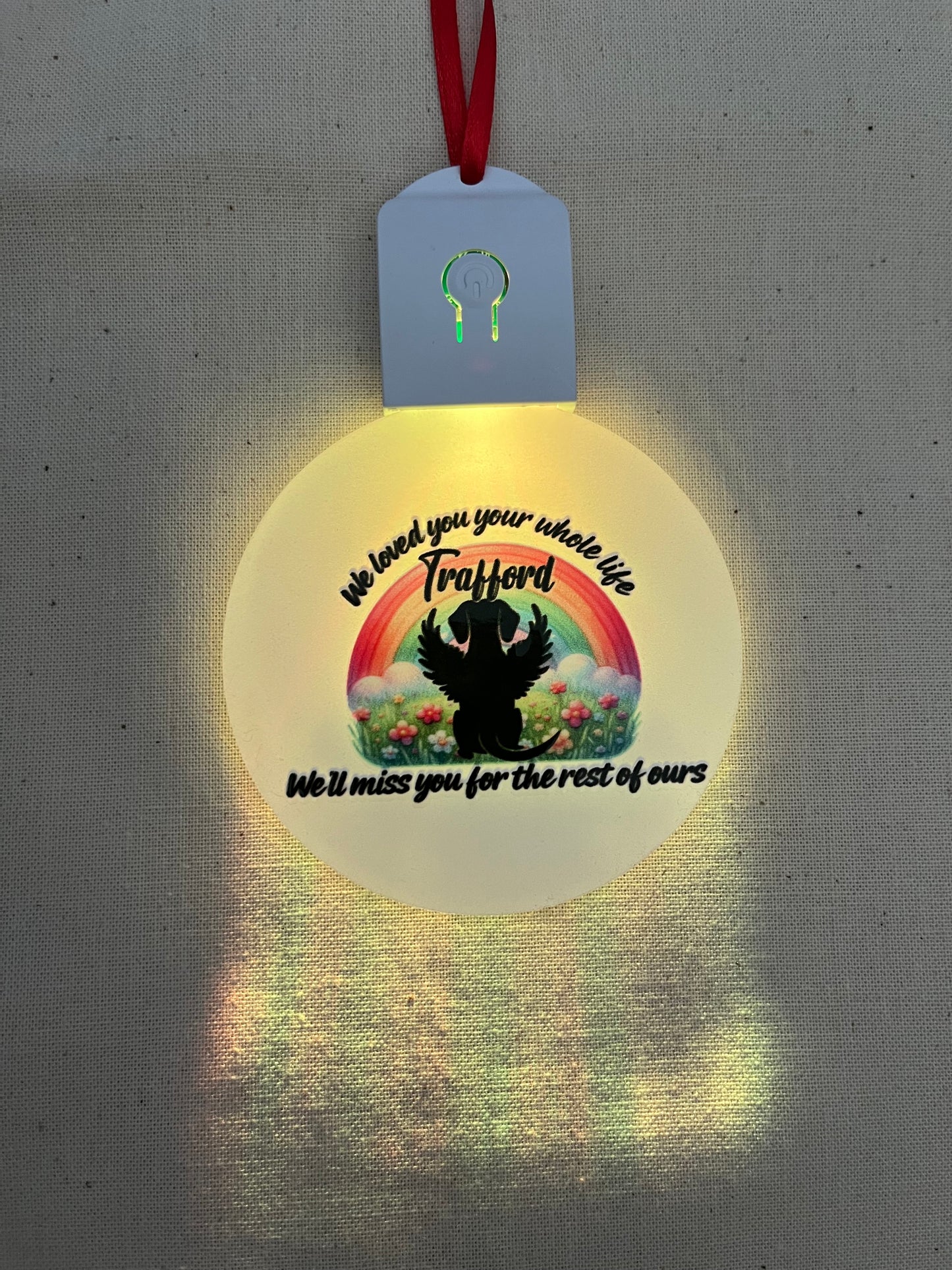Pet loss Light up decoration